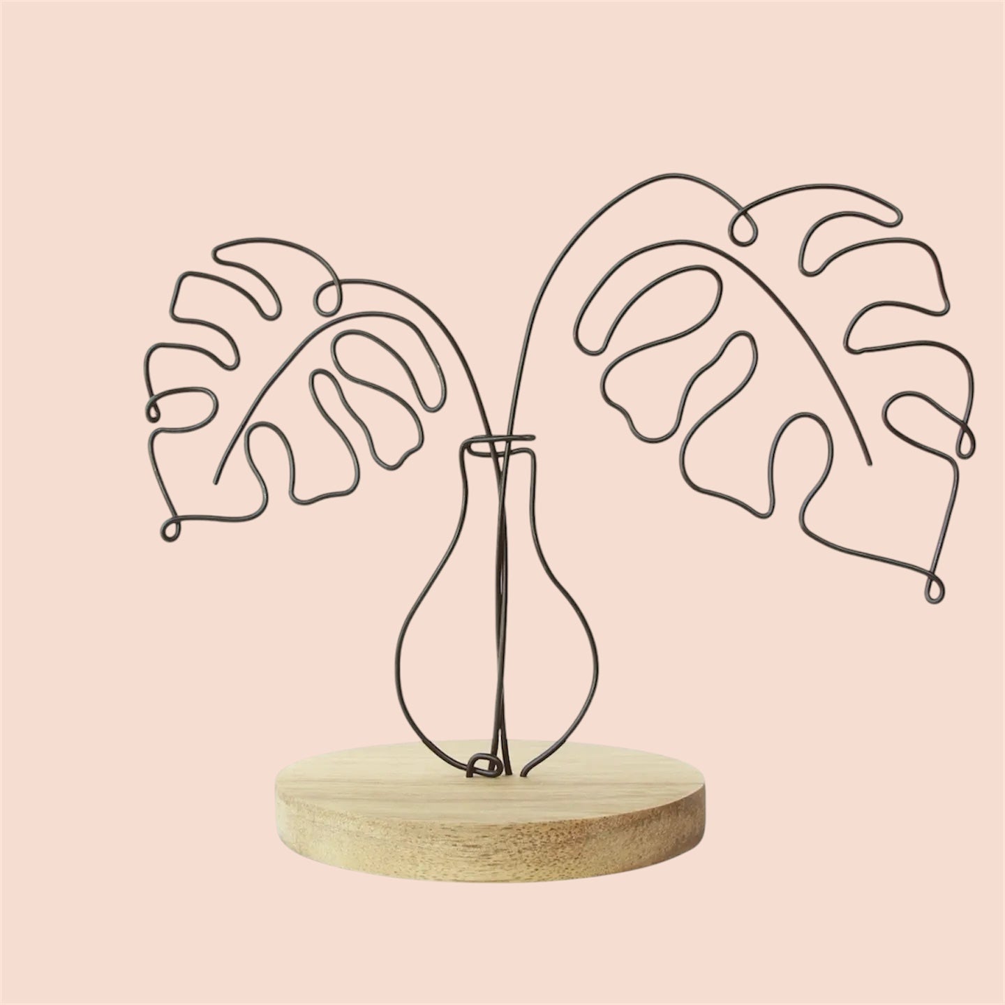 Monstera in Vase