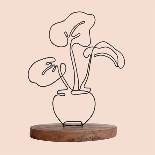 Alocasia